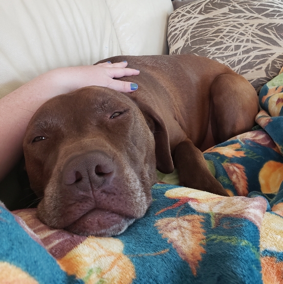 Meet your Posher, Anne - Picture 2 of 5